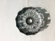Campana frizione completa Beta RR 350/390/400 4T 2011/2017