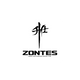Molla Pedana Pilota ZT 125 G1 / GK / U (2020-2024) - ZT 310 / 350 (2021-2022) ZT 703 F /RR (2025) OEM 1264100-004000
