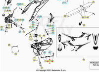 Connettore Beta Xtrainer 250-300 2015/2022