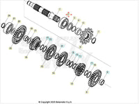 Cuscinetto a rullini NJ205 Beta RR 350/390/400/430/450/480/498/520 4T 2010-2026 RR 250/300 2T 2013-2026