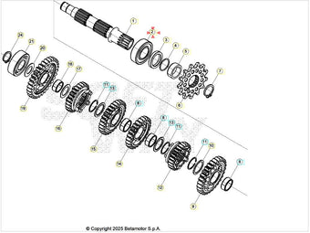 compare product Cuscinetto a rullini NJ205 Beta RR 350/390/400/430/450/480/498/520 4T 2010-2026 RR 250/300 2T 2013-2026