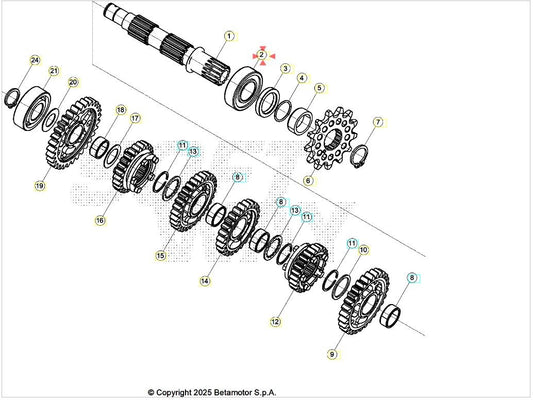 Cuscinetto a rullini NJ205 Beta RR 350/390/400/430/450/480/498/520 4T 2010-2026 RR 250/300 2T 2013-2026