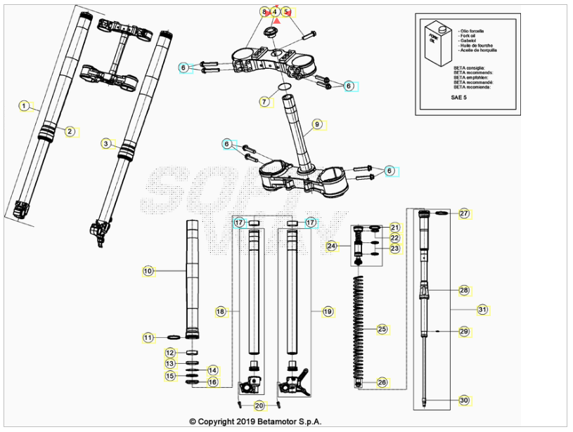 Dado cannotto di sterzo M20X1,5 Beta RR 2T 2013/2025 RR 4T 2011/2025 CROSS RX 300 2T RX 450 4T