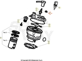 compare product Dado testa AM6 Beta RR 50 2T 2018-2025