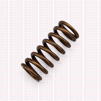 Molla Frizione Beta RR 50 2T (2018-2026) OEM 024030030000
