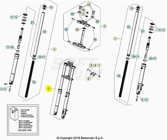 Forcella completa Beta RR 50 Enduro/Motard STANDARD (2012-2020) OEM 024340758000