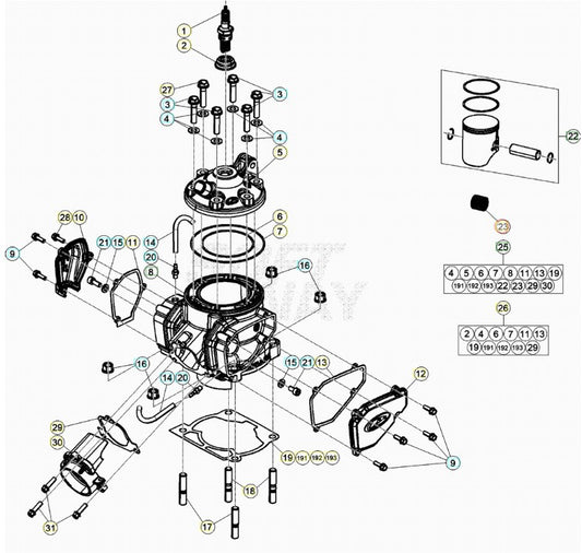 GABBIA A RULLI 18X22X20 BETA RR 250/300 2T 2013-2024 XTRAINER 250/300 2015-2024