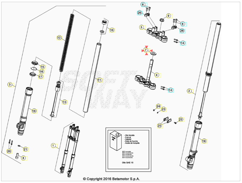 Ghiera regolazione forcella D37 Beta RR 50 Enduro/Motard Sport 2012-2020 RR 125 4T LC Enduro/Motard 2013-2020