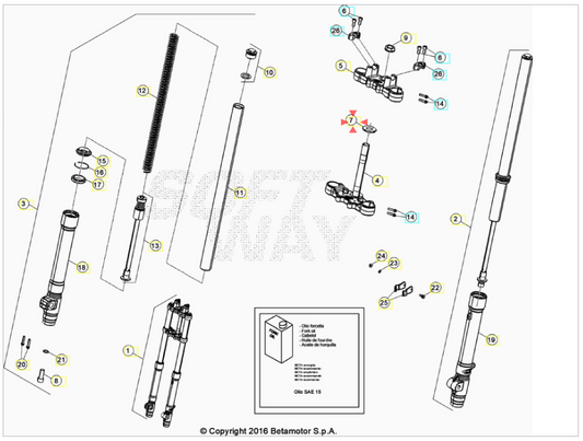 Ghiera regolazione forcella D37 Beta RR 50 Enduro/Motard Sport 2012-2020 RR 125 4T LC Enduro/Motard 2013-2020