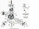 Guarnizione candela Beta RR 2T 250-300 (2013 2023) Xtrainer (2015 2023) OEM 026100120000