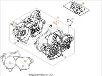 Guarnizione carter motore Beta RR 2T 250/300 2013/2026 Xtrainer 250/300 2015/2026