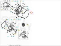 Guarnizione coperchio frizione Beta RR 125 4T LC 2021-2025 MOTORE MINARELLI