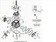 Guarnizione coperchio valvola dx Beta RR 250/300 2T 2022-2023 Xtrainer 250/300 2T 2022-2023