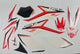 KIT ADESIVI BETA RR 125 4T AC 2013/2016