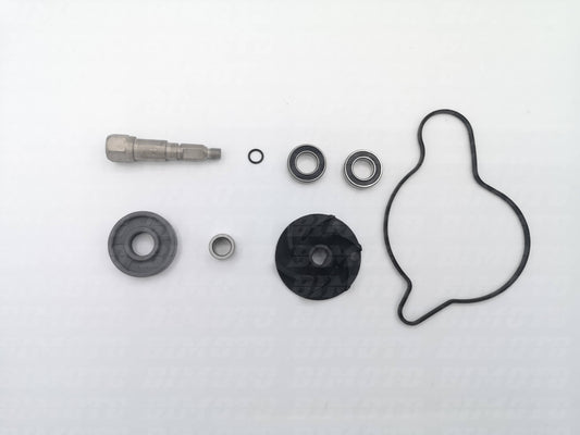 Kit guarnizioni/revisione pompa acqua Beta RR 350/390/400/430/450/480/498/520 4T 2010-2019