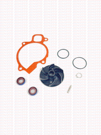 compare product Kit revisione pompa acqua Beta RR 400/450/525 4T 2005-2009
