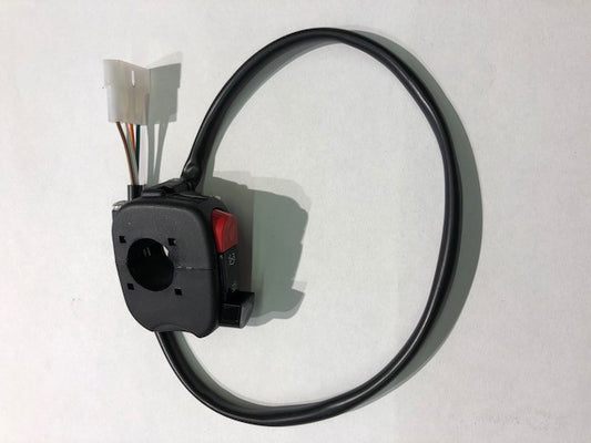 Simplified electrical system kit with electric start Beta RR 250/300 2T 2013/2016