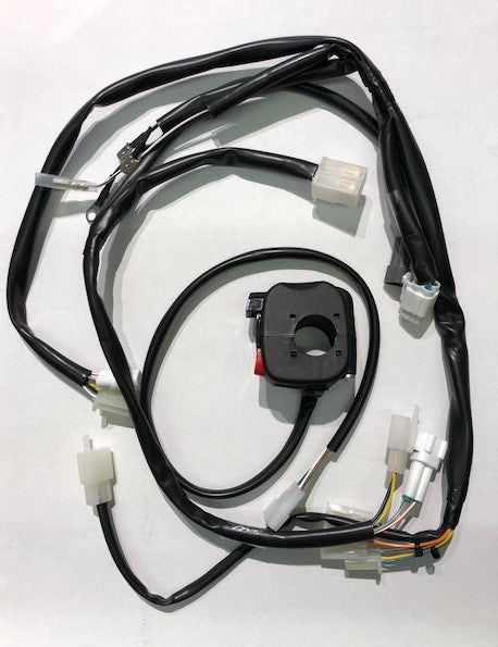 Kit impianto elettrico semplificato con avviamento elettrico Beta RR 250/300 2T 2013/2016
