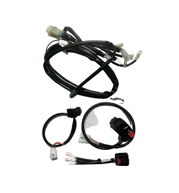 Simplified Wiring Harness Kit With Electric Start Beta RR 250 / 300 2T (2016-2019)