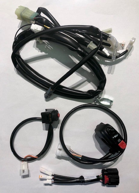 Kit impianto elettrico semplificato con avviamento elettrico Beta RR 250/300 2T 2016/2019