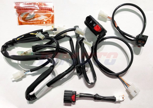 Kit Impianto Elettrico Semplificato Con Avviamento Elettrico Beta RR 4T (2016-2019) OEM 031400818200