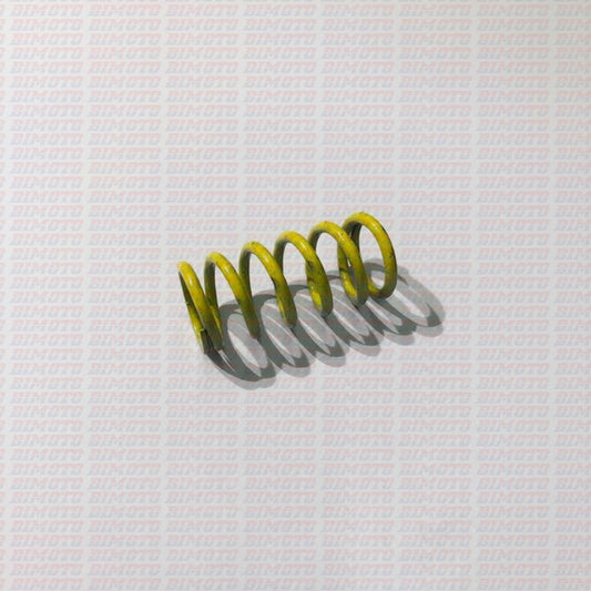 Clutch spring Beta RR 250/300 2T from 2013 to 2017 RR 350/390/400/430/450/480/498/520 4T 10-17 Xtrainer 250/300 15-17