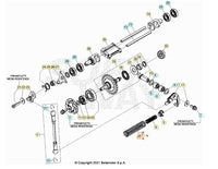 Molla regolazione valvola di scarico Beta RR 300 2T RACING 2022/2024