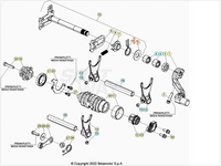 Molla selettore cambio Beta RR 2T-4T 2010/2024 Xtrainer 2015/2024