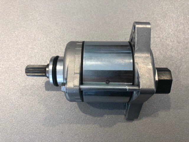 Motorino avviamento Beta  RR 350 390 430 480 4T (2015/2019) RR 350 4T FACTORY (2014) OEM 029070008000