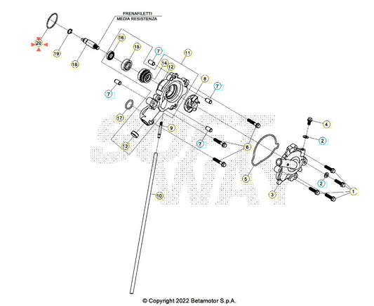 Oring Pompa Acqua Beta RR 125 4T T (2023-2026) OEM 051110040000