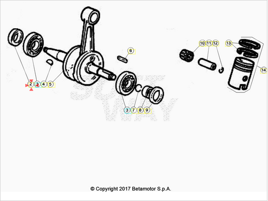Paraolio di banco 17X35X8 Beta RR 50 2005/2025 AM6