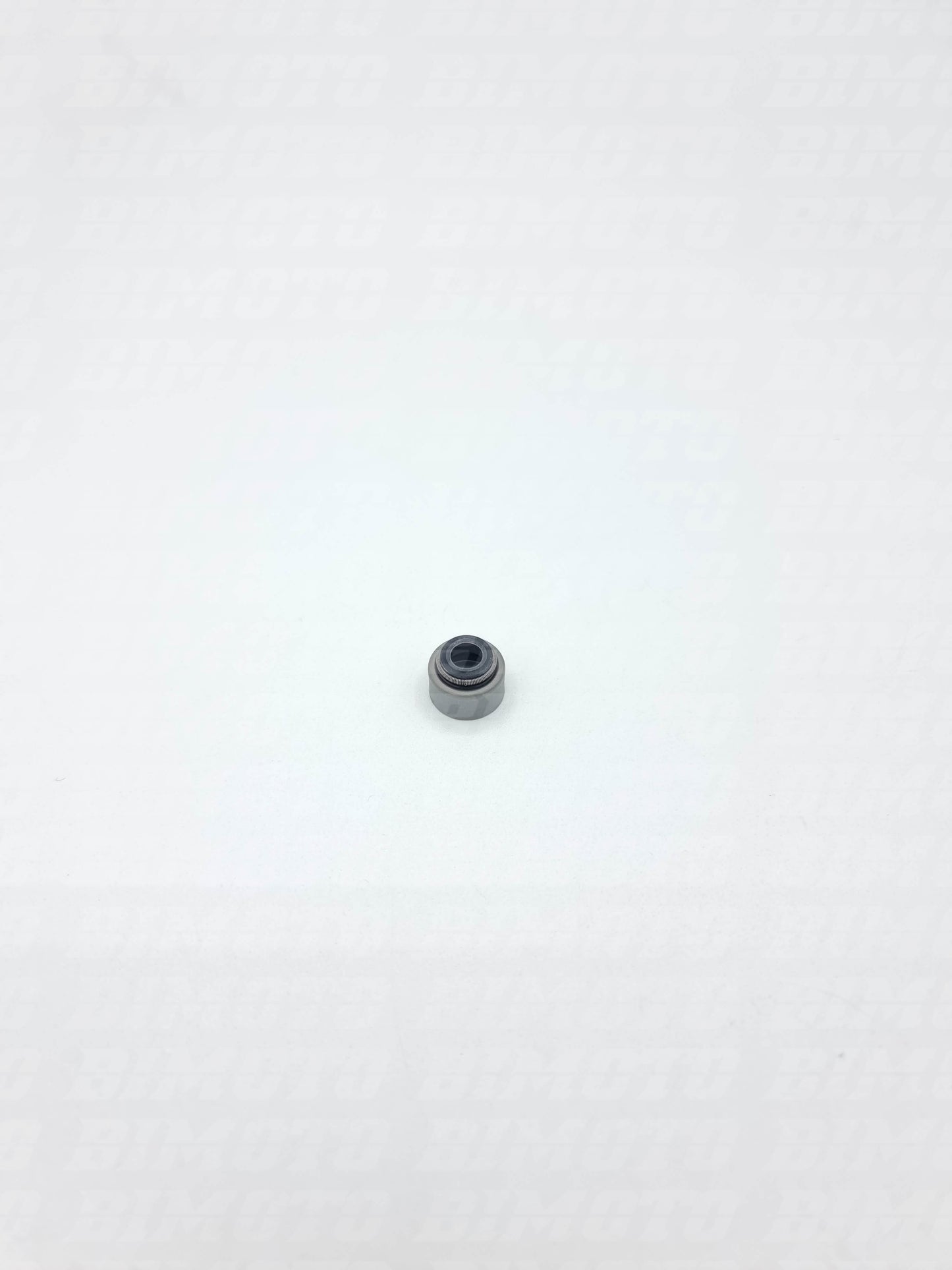 Paraolio guida valvola Beta RR 350/390/400/430/450/480/498/520 4T 2010-2024