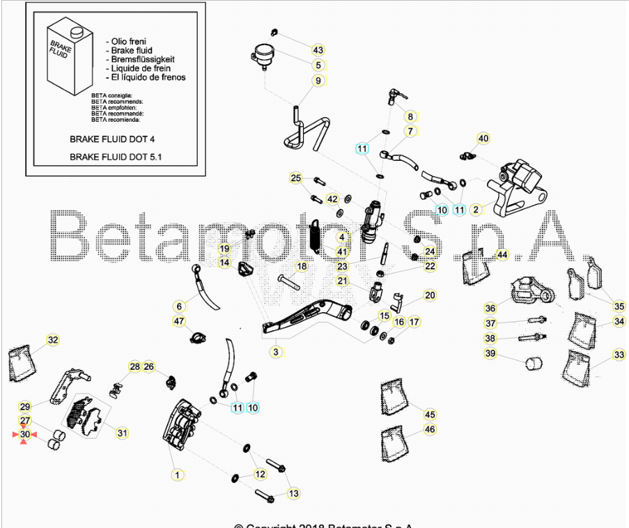 Piston ⌀ 25 RR 50 Enduro/Motard Sport/Track/Racing 2005/2020 Alp 125/200 2007/2018 RR 125 4T Enduro/Motard 2013/2019