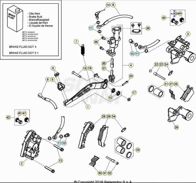 Rear Brake Caliper Protection Nissin Beta RR 2T-4T (2005-2026) - Xtrainer (2015-2026) - Alp 4.0-X (2024-2025) RX 2T-4T (2023-2026) OEM 036360040000