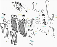 Radiatore Sinistro Beta RR 250 / 300 2T (2013-2019) OEM 026390100000