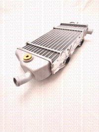 Radiatore sinistro Beta RR 350 390 430 480 4T X-PRO (2026) RX 450 4T (2026) OEM 037390428200