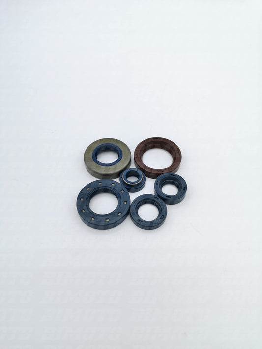 Serie paraolio motore Beta RR 50 2003/2025 AM6
