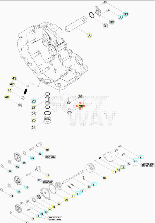 Tappo Scarico Olio Cambio Beta RR 2T (2013-2026) - RR 4T (2010-2026) - Xtrainer (2015-2026) OEM