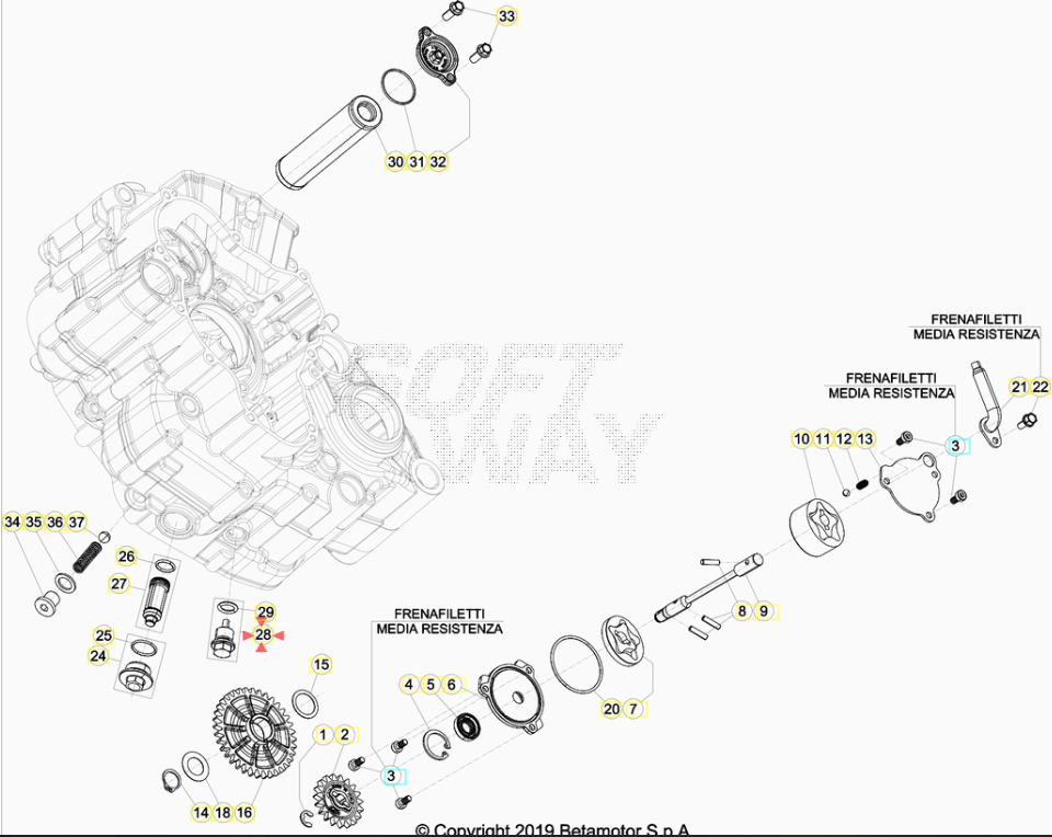 Tappo Scarico Olio Cambio Beta RR 2T (2013-2026) - RR 4T (2010-2026) - Xtrainer (2015-2026) OEM