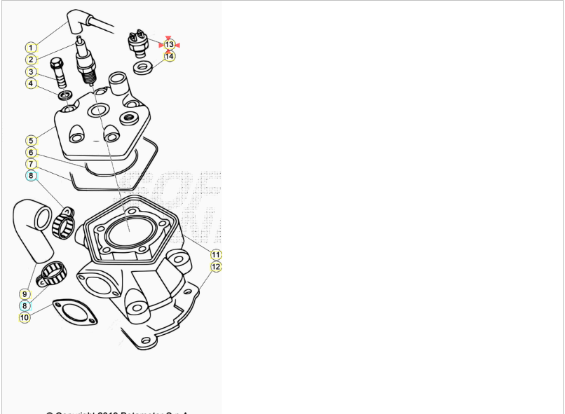 Termointerruttore Beta REV/EVO 80 2009-2020 REV 250 4T 2007-2008