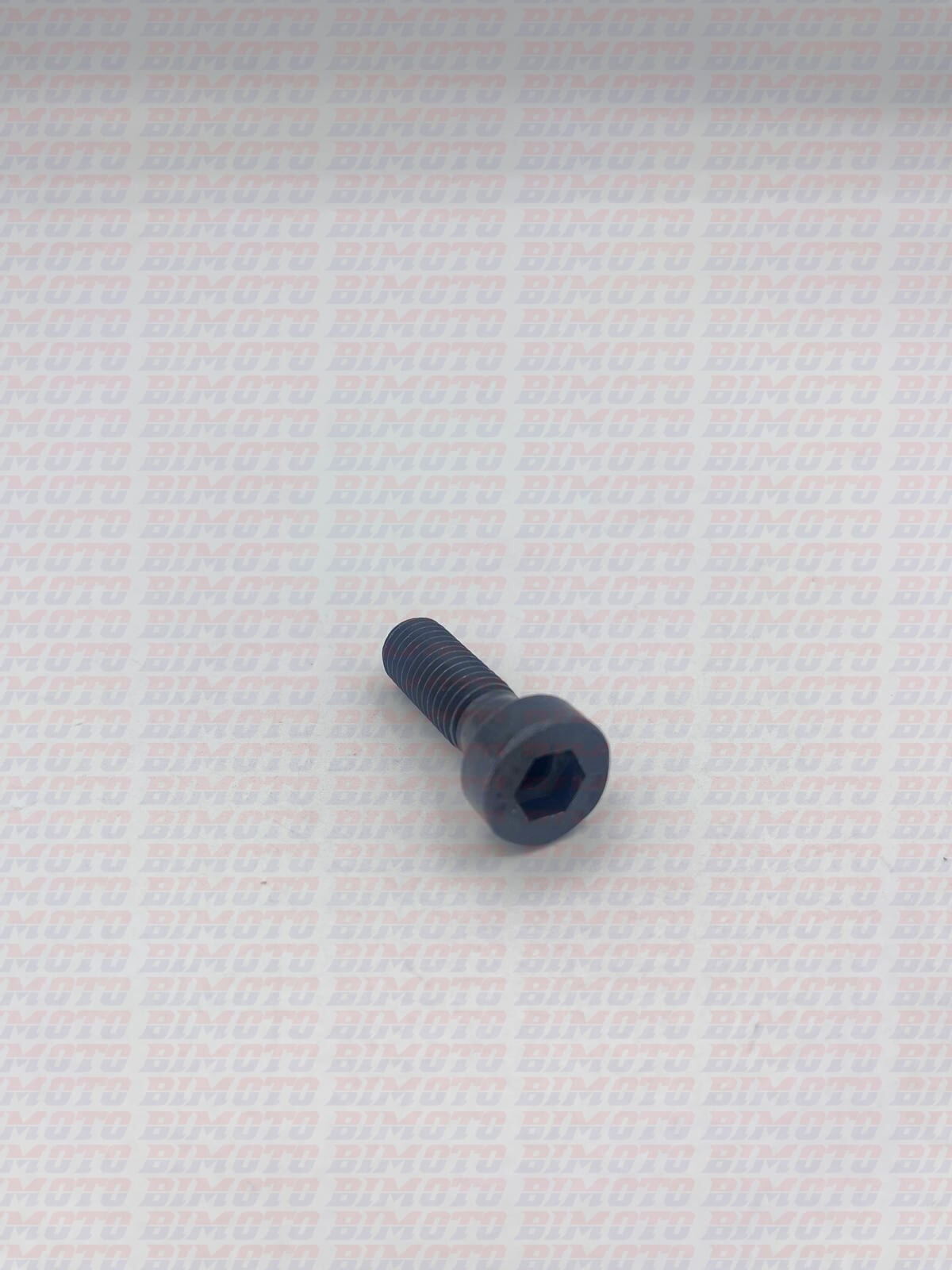 Vite M10x30 Fissaggio Riser Manubrio per Beta RR 2T/4T X-Pro/Race (2025-2026) – 1 Pezzo OEM C24210060000