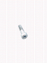 Vite Speciale Leva Freno Posteriore Beta RR 2T 4T (2020–2026) OEM 037360150000