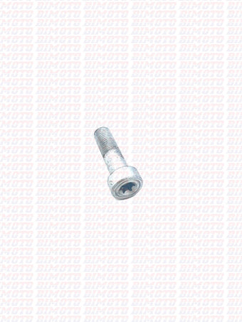 compare product Vite Speciale Leva Freno Posteriore Beta RR 2T 4T (2020–2026) OEM 037360150000