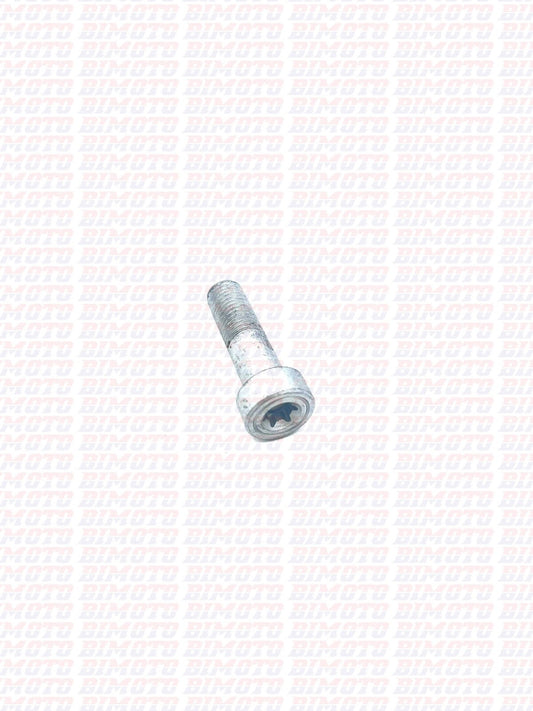 Vite Speciale Leva Freno Posteriore Beta RR 2T 4T (2020–2026) OEM 037360150000