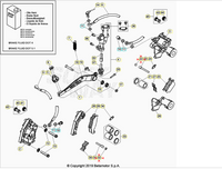 Vite speciale per perno pinza Beta RR 2T 125-250-300 13/24 RR 4T 350-390-400-430-450-480-498-525 05/24 Xtrainer